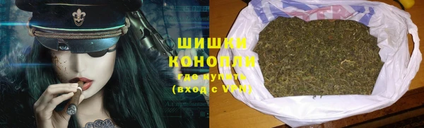 дживик Баксан
