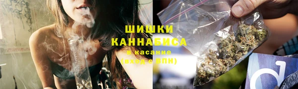 spice Арсеньев