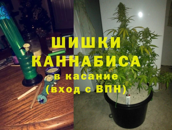 spice Арсеньев